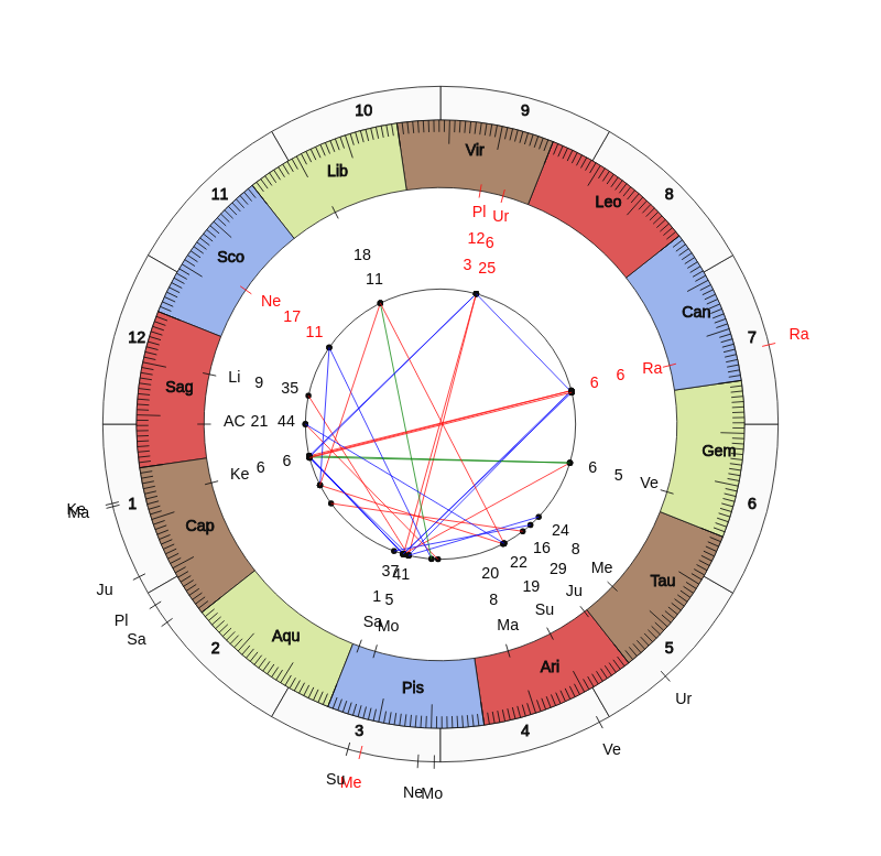 NHL Hockey Arizona Coyotes Rick Tocchet Game Day astrology